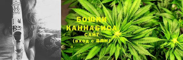 гашиш Богданович